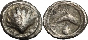Greek Italy. Southern Apulia, Tarentum. AR 1/10 Stater, 500-480 BC. D/ Shell. R/ Dolphin right, below, shell. HN Italy 831. AR. g. 0.59 mm. 10.00 Heav...