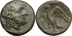 Greek Italy. Bruttium, The Brettii. AE unit, 214-211 BC. D/ Head of Zeus right, laureate; behind, corn-ear. R/ Eagle standing left on thunderbolt, win...