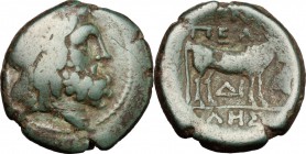 Continental Greece. Macedon, Pella. AE 20mm, 196-146 BC. D/ Head of Poseidon right, wearing taenia. R/ Bull standing right. SNG Cop. 259. AE. g. 7.12 ...