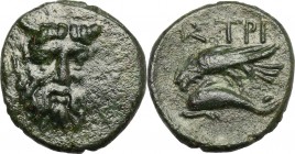 Continental Greece. Moesia, Istros. AE 14mm, 4th century BC. D/ Head of horned river god facing. R/ Eagle and dolphin left. SNG BM 260. AE. g. 2.52 mm...