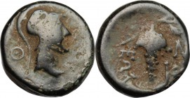 Greek Asia. Cilicia, Soloi. AE 16mm, 100-30 BC. D/ Head of Athena right, helmeted. R/ Bunch of grapes. SNG BnF 1182. AE. g. 4.65 mm. 16.00 Brown patin...