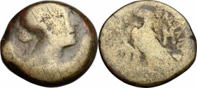 Africa. Egypt, Ptolemaic Kingdom. Cleopatra VII Thea Philopator (51-30 BC). AE Diobol, Alexandria mint, 51-30 BC. D/ Bust right, draped. R/ Eagle stan...