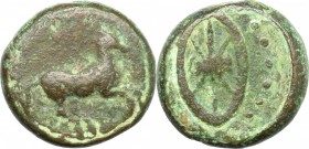 Africa. Kyrenaica, Kyrene. AE 18mm, 435-331 BC. D/ Horse prancing right. R/ Wheel with six spokes. SNG Cop. 1222-1223. AE. g. 7.00 mm. 18.00 Green pat...