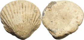 PB Shell, 4th-3rd century BC. PB. g. 28.49 mm. 24.00 VF.