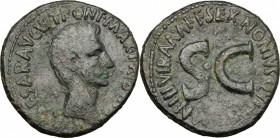 Augustus (27 BC - 14 AD). AE As, 6 BC. D/ Head right. R/ Large SC surrounded by legend. RIC (2nd ed.) 439. AE. g. 10.88 mm. 26.00 Good F.