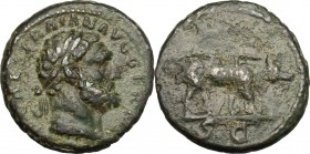 Trajan (98-117). AE Quadrans, 114-117. D/ Head of Hercules right, laureate. R/ Boar standing right. RIC 702. AE. g. 2.56 mm. 15.00 Dark green patina. ...