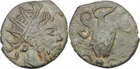 AE Barbarous radiate imitating Tetricus I,4th century. D/ Head right, radiate. R/ Sacrificial implements. AE. g. 1.19 mm. 13.00 Brown patina. VF.