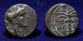 Phoenicia: Tyre, c. 2nd-1st century BC. AE bronze