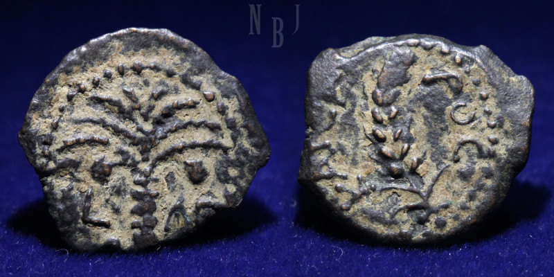 Judaea: Roman Procurators, Marcus Ambibulus 9-12, AE Bronze Prutah. Grain ear, "...