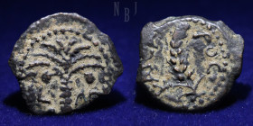 Judaea: Roman Procurators, Marcus Ambibulus 9-12, AE Bronze Prutah