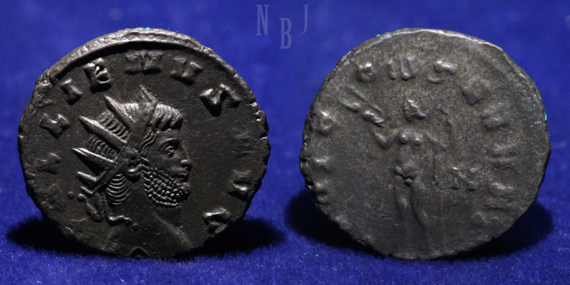 Roman Empire: Gallienus AE Antoninianus, Obverse: GALLIENVS AVG; Head of Gallien...