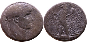 Nero (54-68) Syria: Antioch. Tetradrachm Obverse: ΝΕΡΩΝ ΚΑΙΣΑΡ ΣΕΒΑΣΤΟΥ Laureate head of Nero, right, with aegis Reverse: Eagle on thunderbolt, right;...