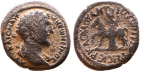 Marcus Aurelius (161-180) Antioch ad Hippum, Syria Obv: Bust of Emperor. Rev: Tyche standing left, holding horse by bridle with right hand and cornuco...