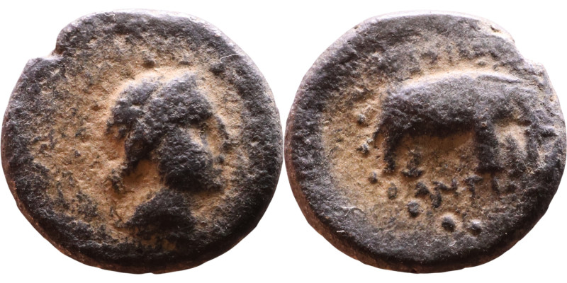 Roman Provincial bronze coin (I-III century) Obv: bust of zeus. Reverse: Boar
...