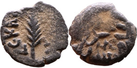 JUDAEA. Jerusalem mint. Porcius Festus (time of Nero, 59-62 AD). Bronze Prutah. Obv.: Palm-branch surrounded by L C•KAIC-APOC. Rev.: NEP • ωNO • C in ...