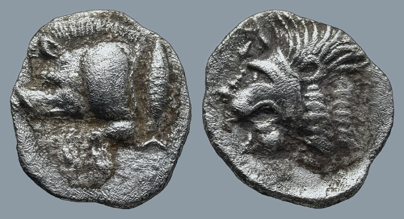 MYSIA. Kyzikos. (Circa 450-400 BC)
AR Obol (10,4mm 0,65g)
Obv: Forepart of boa...