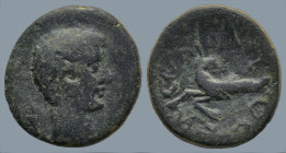 MYSIA. Kyzikos. Augustus (27 BC-14 AD)
AE Bronze (15,7mm 3,1g)
Obv: Bare head of Augustus to right.
Rev: CЄBACTOC Capricorn to left, head to right;...