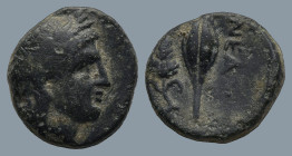 TROAS. Neandria. (4th century BC)
AE Bronze (11,1mm 1,3g)
Obv: Laureate head of Apollo to right.
Rev: NEAN Barley corn; to right, grape bunch.
SNG...