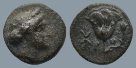 ISLANDS off CARICA. Rhodos. (Circa 404-385 BC)
AE Bronze (11,6mm 1,2g)
Obv: Head of the nymph Rhodos right.
Rev: P - O. Rose with bud to left and r...