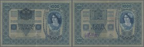Yugoslavia: 1000 Kronen ND(1919), stamp on Austria # 8, P.5, tiny pinholes at upper left corner, several folds and graffiti on back. Condition: F+