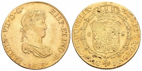 Fernando VII (1808-1833). 8 escudos. 1813. Lima. JP. (Cal-19). (Cal onza-1218). Au. 26,96 g. Busto pequeño. Muy escasa. MBC+. Est...1700,00. 

Ferdi...