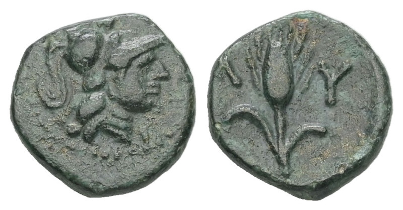 Thrace, Lysimacheia. AE. 0.91 g. - 9.82 mm. Circa 309-220 BC.
Obv.: Head of Athe...