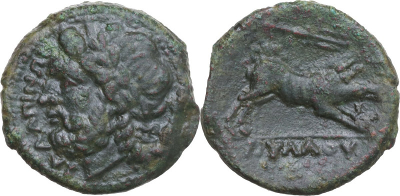 Greek Italy. Northern Apulia, Salapia. AE 21 mm, c. 225-210 BC. Obv. ΣΑΛΑΠΙΝΩΝ. ...