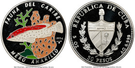 Republic Proof Colorized "Yellow Sea Bass" 50 Pesos (5 oz) 1994 PR67 Ultra Cameo NGC, KM507. "Caribbean Fauna" series. HID09801242017 © 2024 Heritage ...