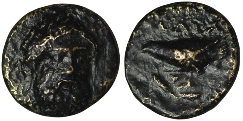 MYSIA. Adramytion. (2nd century BC)
AE Bronze (11mm, 1,73g)

Repatinated