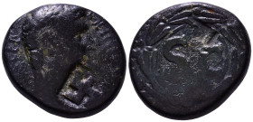 SYRIA. Seleucis and Pieria. Antioch. Claudius. 41-54 AD. Obv: IMP TI CLAVD CAE AV GER. Laureate head right. Rev: Large S C within wreath. Æ 25mm, 15,4...