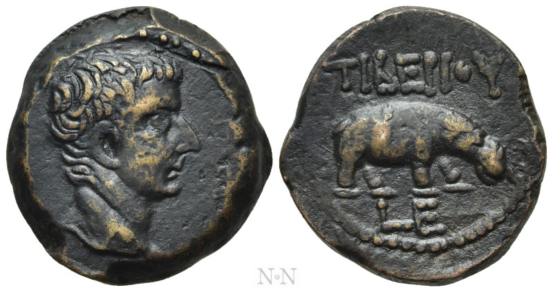 EGYPT. Alexandria. Tiberius (14-37). Obol. Dated RY 5 (AD 18/19). 

Obv: Bare ...