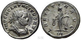 TACITUS (275-276). Antoninianus. Siscia