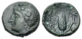 Italy, Lucania, Metapontion, c. 300-250 BC. Æ (14mm, 2.86g, 10h). Head of Dionysos l., R/ Grain ear with bud, META to l., crossed torch to r. HN Italy...