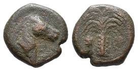 Sicily, Carthaginian Domain, c. 4th-3rd century BC. Æ (16mm, 4.59g). Palm tree with two dates. R/ Horse's head r. CNP 255; HGC 2, 1669. Good Fine