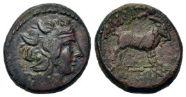 Macedon, Amphipolis, c. 187-168/7 BC. Æ (17mm, 4.8g). Wreathed head of Dionysos r. R/ Goat standing r. Touratsoglou 19; cf. SNG ANS 142-3 (monogram); ...