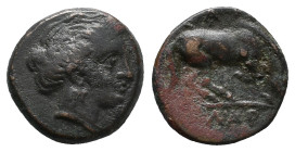 Thessaly, Larissa, c. 350-300 BC. Æ Dichalkon (14mm, 3.74g). Head of Nymph r. R/ Horse grazing r. BCD Thessaly II 390. Near VF