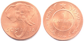 Afis. Amministrazione Fiduciaria Italiana della Somalia. 1950-1960. 1 Centesimo 1950. Ae. Gig. 5. Peso gr. 3,04. Diametro mm. 20. SPL. Rame rosso. Gra...