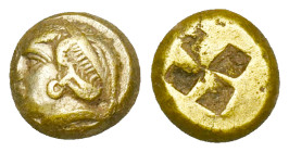 Mysia. Cyzicus. c. 460-450 BC. EL Hecte. Obv: Head of young woman facing left, hair covered by sakkos, truncation dotted. Below, tunny fish left. Rx: ...