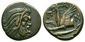 Cimmerian Bosporos. Pantikapaion circa 310-303 BC. Bronze Æ Head of bearded Satyr to right / Π-Α-Ν, forepart of griffin to left; sturgeon to left belo...