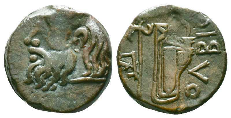 SKYTHIA. Olbia. Ae (Circa 310-280 BC). Obv: Horned head of Borysthenes left. Rev...
