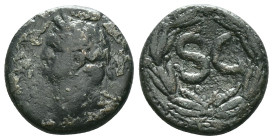 Domitian. (81-96 AD). Æ Bronze. Syria. Antioch. Reference: Condition: Very Fine

Weight: 7,93 gr. Diameter:20,8 mm