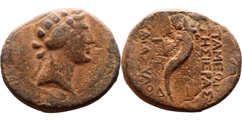 Apameia ad Orontem, Syria, (I Century BC) Bronze coin. Obv: Head of Dionysos rig...