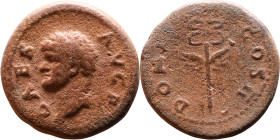 Domitian (81-96) Bronze coin. Obv: Bust of emperor. Rev: Winged caduceus