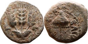 JUDAEA. Jerusalem mint. Agrippa I (under Claudius, 37-44 AD). AE prutah. Obv.: ΒΑCΙΛΕWC ΑΓΡΙΠΑ; Umbrella-like canopy with fringes. Rev.: Three ears of...