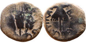 JUDAEA. Jerusalem mint. Agrippa I (under Claudius, 37-44 AD). AE prutah. Obv.: ΒΑCΙΛΕWC ΑΓΡΙΠΑ; Umbrella-like canopy with fringes. Rev.: Three ears of...
