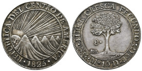 Central American Republic. 8 reales. 1825. Guatemala. M. (Km-4). Ag. 26,99 g. Beautiful patina. Almost XF. Est...350,00. 

Spanish description: Repú...