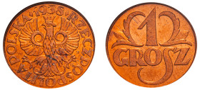 Poland, Second Republic, 1918-1939. Grosz, 1938 W, Warsaw mint (KM-Y8a).

Graded MS65RD NGC.