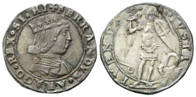 NAPOLI
Ferdinando I d’Aragona (Ferrante), 1458-1494.
Coronato, senza sigle.
Ag
gr. 3,90
Dr. +FERRANDVS• ARAGO • REX SI• HI. Busto coronato a d.
...