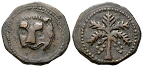 SICILIA
Guglielmo II, Re di Sicilia, 1166-1189.
Trifollaro.
Æ
gr. 10,72
Dr. Testa di leone entro cerchio di perline.
Rv. Palmizio con datteri.
...
