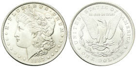 USA
Federazione.
Dollaro 1887, zecca di Philadelphia.
Ag
gr. 26,67
Dr. Testa muliebre diademata a s., con berretto frigio.
Rv. Aquila ad ali spi...